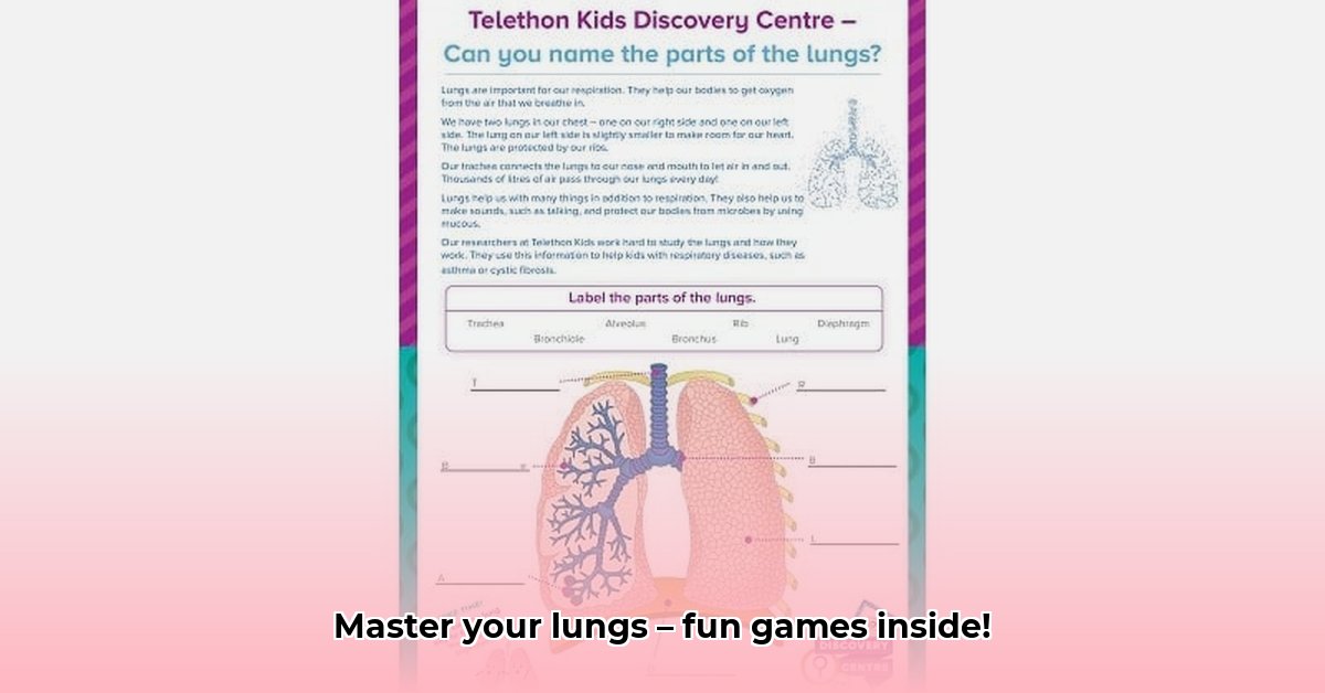 respiratory-system-games-for-children